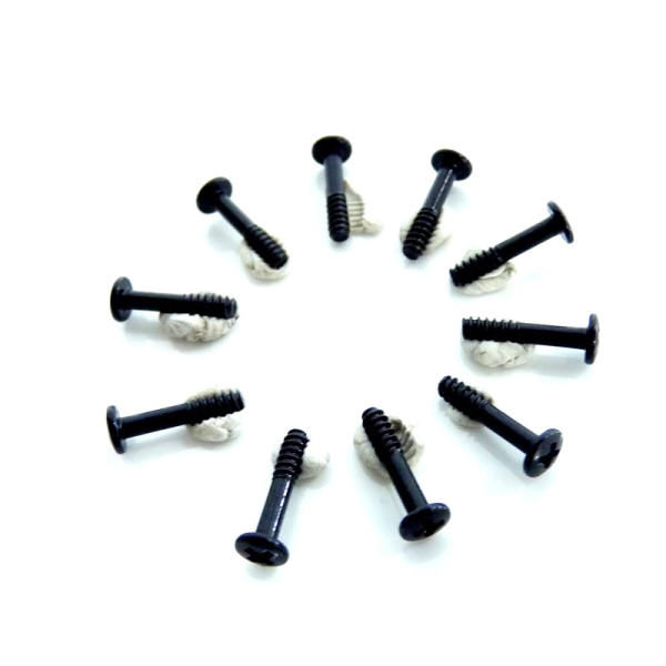 BT2*10 BH Screws 10P