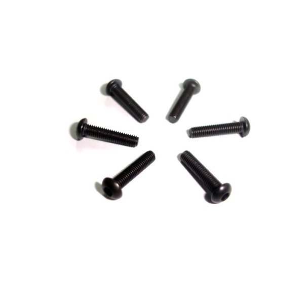 M3*14 Cap Head Screws 6P