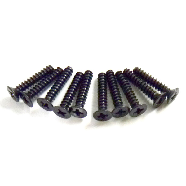 3*16 Flat Head Screws 10P