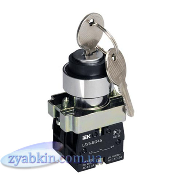 Перемикач LAY5-BG45 на 2 положення з ключем IEK (BSW80-BG-2-K02)