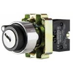 XB2-BG21 Кнопка поворотна з ключем 2-позиційна - Зображення 4