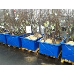 Контейнер 350 л промисловий - Зображення 3