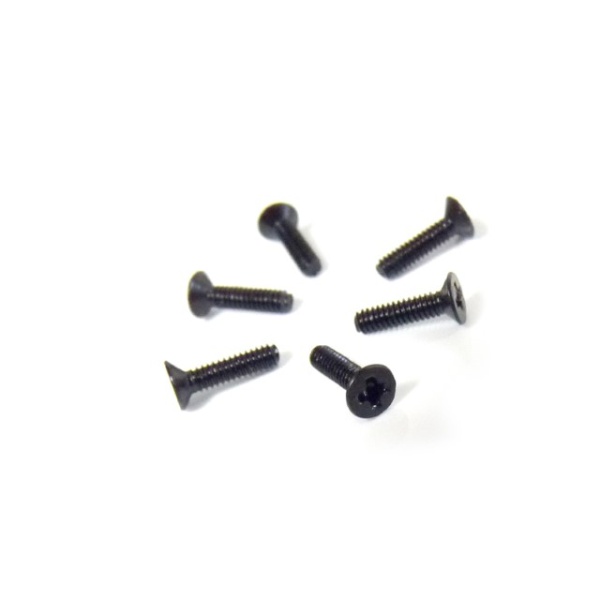 Flat Head Screw 2X8 6P