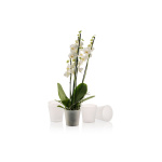 Горщик для орхідеї Gardenya 1,2 л прозорий - Зображення 3
