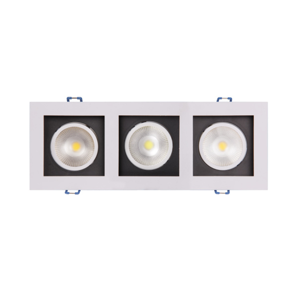 Світильник світлодіодний вбудований (карданний) JAZZWAY PSP-S213 3x8w 4000K 55° White IP40