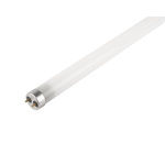 Лампа світлодіодна JAZZWAY PLED T8-1200GL 20w FR G13 6500K