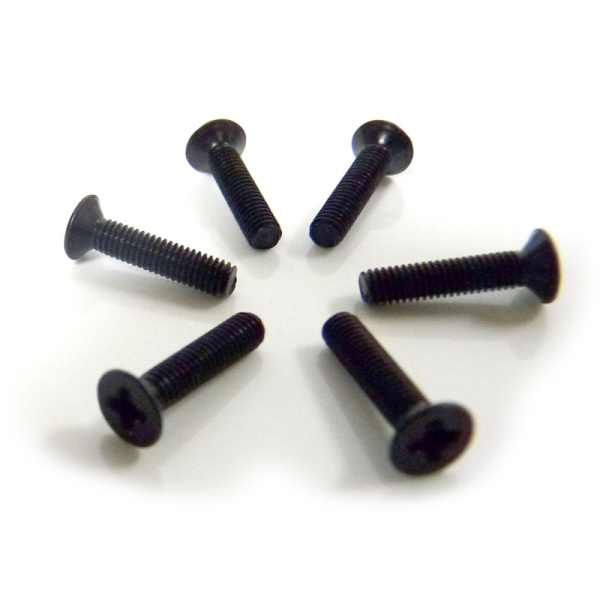 Flat Head Screws 3X14 6P