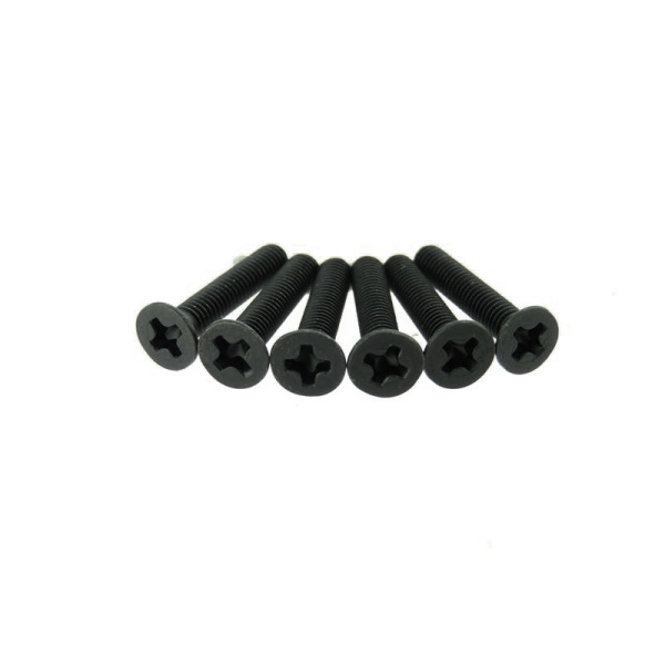 Flat Head Screws 3X16 6P