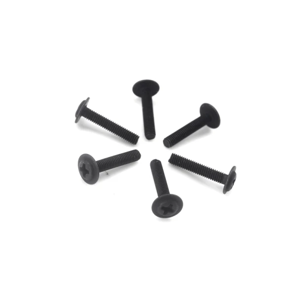 Cap Head Screws 3X16 6P