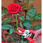 Секатор садовий BERGER 1560 для троянд, 190 мм