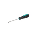Викрутка MASTERTOOL TORX TT20х100 мм 49-0201