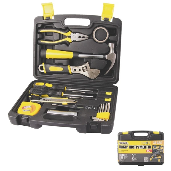 Набір інструментів MASTERTOOL "Універсал" 17 елементів 78-0317