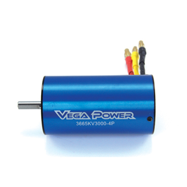 Sensorless Brushless Motor 11T 3665KV3000-5.0 Shaft Banana Plug Blue color