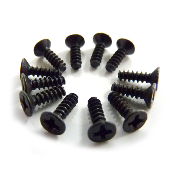 Flat Cross Screw (TPF3*10) 12P