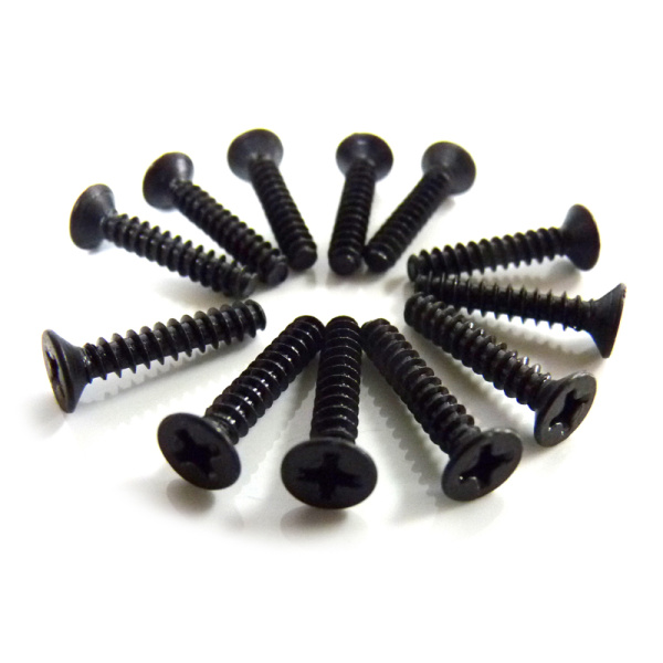 Flat Cross Screw (TPF3*16) 12P