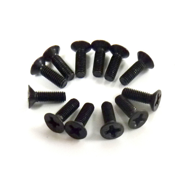 Flat Cross Screw (ISO3*10) 12P