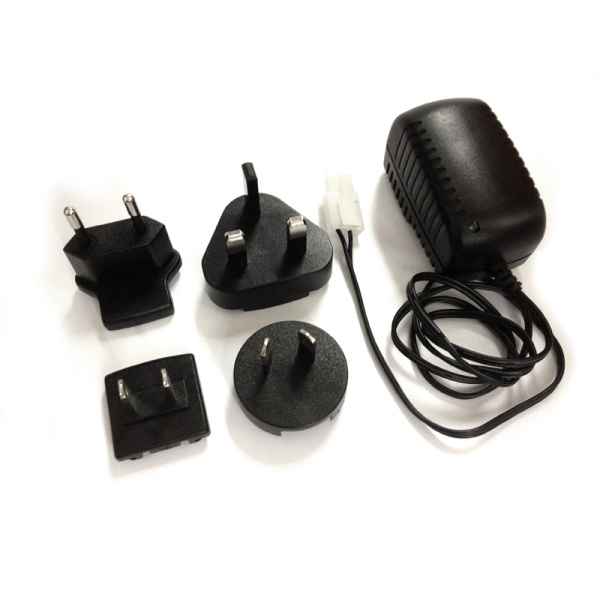 Multi-Region AC charger.(10.8-14.8v with Rx adaptor) BULK PACK