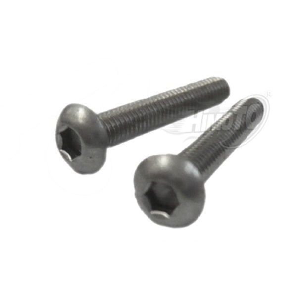 Bind Head Titanium Screw 3X18Mm 2P