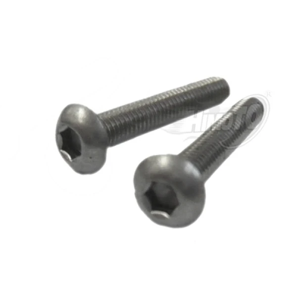 Bind Head Titanium Screw 3X18Mm 2P