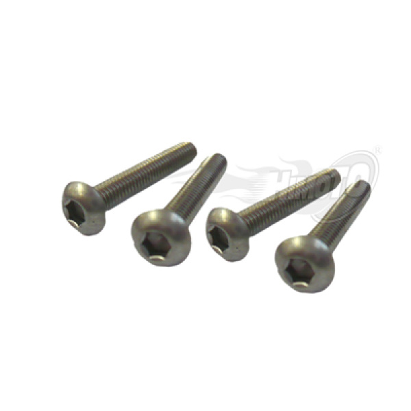 Bind Head Titanium Screw 3X10Mm 4P