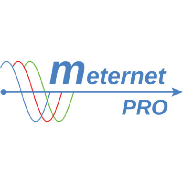 Токен LIC-MT-D, для системи MeternetPro