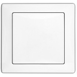 Розетка DELUX WEGA 9029 1-а з/з біла з кр.