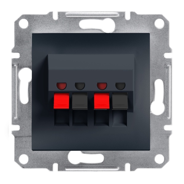 Аудіорозетка ASFORA антрацит Schneider Electric (EPH5700171)