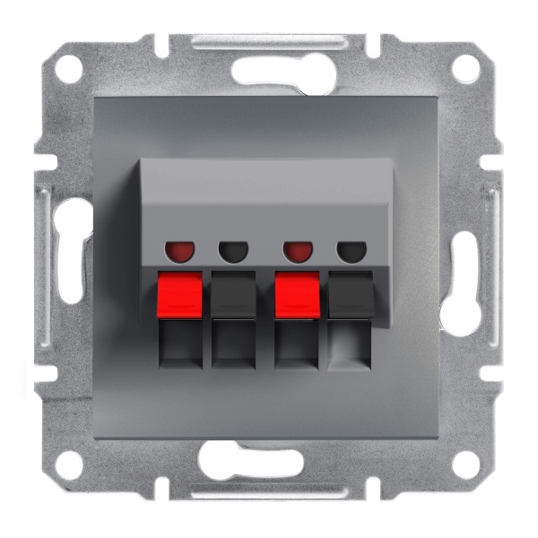 Аудіорозетка ASFORA сталь Schneider Electric (EPH5700162)