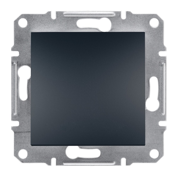 Заглушка ASFORA антрацит Schneider Electric (EPH5600171)