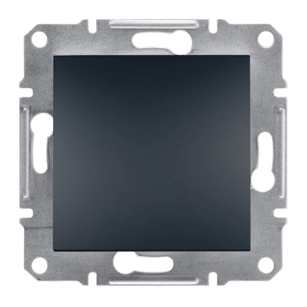 Заглушка ASFORA антрацит Schneider Electric (EPH5600171)