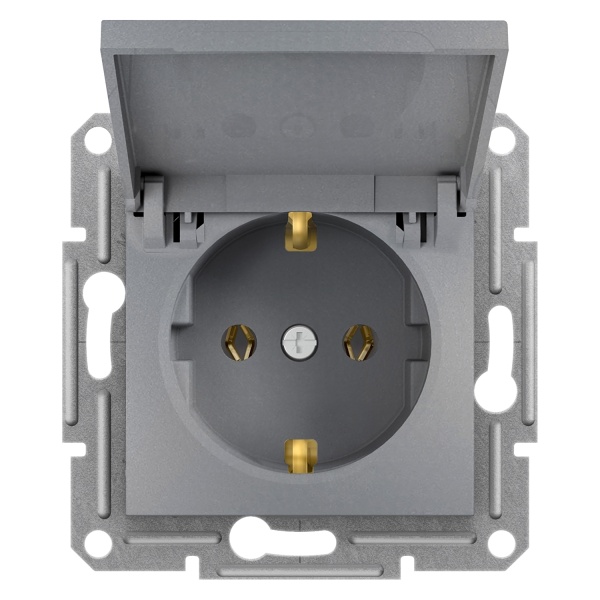 Розетка з кришкою та заземленням ASFORA сталь Schneider Electric (EPH3100162)