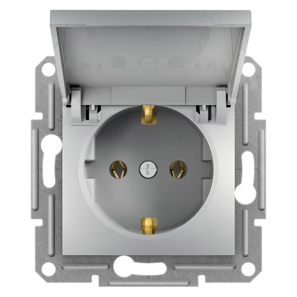 Розетка з кришкою та заземленням ASFORA алюміній Schneider Electric (EPH3100161)