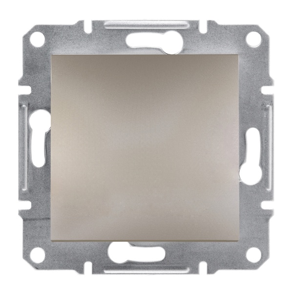 Заглушка ASFORA бронза Schneider Electric (EPH5600169)