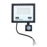 Прожектор LED 30W ULTRA Slim 220V 2500Lm 6500K IP65 з датчиком руху TNSy