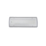 Світильник евакуаційний UJ01-24LED-2W-6500K-3H-200L-IP65 TNSy