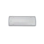 Світильник евакуаційний UJ01-24LED-2W-6500K-3H-200L-IP65 TNSy