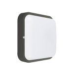 ДББ 20У-12-302У1 "Квадро-12 Д" 12Вт 1200Лм 5000К антрацит
