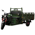 Електричний мопед TRIGO JJ1.6 1000W/60V/35AH(DZM) (зелений)