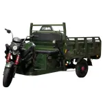 Електричний мопед TRIGO JJ1.6 1000W/60V/35AH(DZM) (зелений)