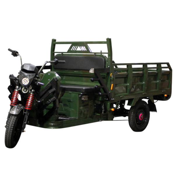 Електричний мопед TRIGO JJ1.6 1000W/60V/35AH(DZM) (зелений)
