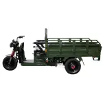 Електричний мопед TRIGO JJ1.6 1000W/60V/35AH(DZM) (зелений) - Зображення 3