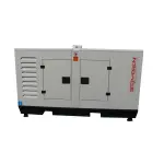 Дизельний генератор SOYGEN SGR 80 KVA - Зображення 2