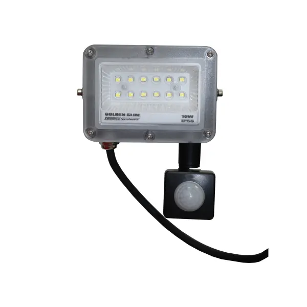 Прожектор LED 10W GOLDEN Slim 220V 1100Lm 6500K IP65 + ДР TNSy