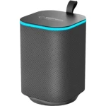 Колонка портативна 1.0 Esperanza RGB Illuminated FM Sakara EP155 Black, 10 Вт, пластиковий корпус, FM-радіо, Bluetooth, MicroSD / AUX, живлення від акумулятора, 1200мА*ч, керування сбоку