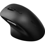 Миша Rapoo M50 plus silent wireless, Black, бездротова, 2.4GHz / USB, 3200 dpi, 1 AA батарейка, кнопки 4шт. (M50_plus) - Зображення 2