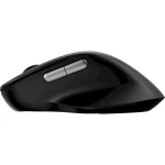 Миша Rapoo M50 plus silent wireless, Black, бездротова, 2.4GHz / USB, 3200 dpi, 1 AA батарейка, кнопки 4шт. (M50_plus) - Зображення 5