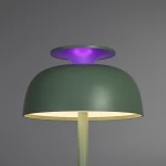LED лампа настiльна з акумулятором VIDEX VL-TF24G 8W 4000K+RGB Green - Зображення 5